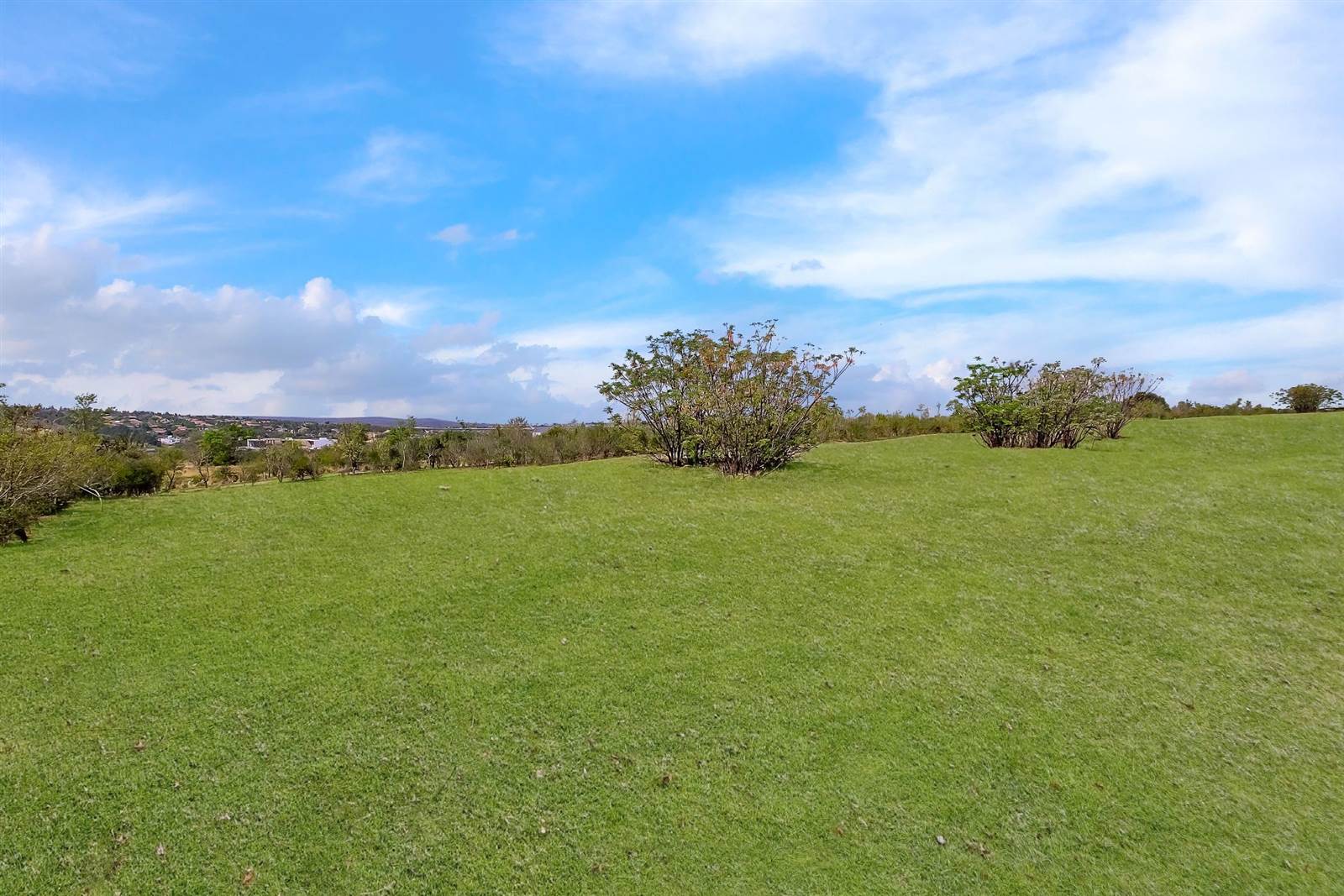 1593 m² Land available in Steyn City photo number 6