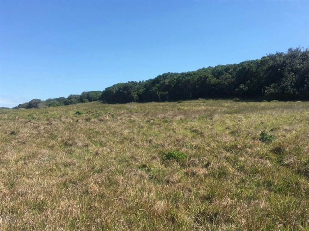 822 m² Land available in Kenton-on-Sea photo number 7