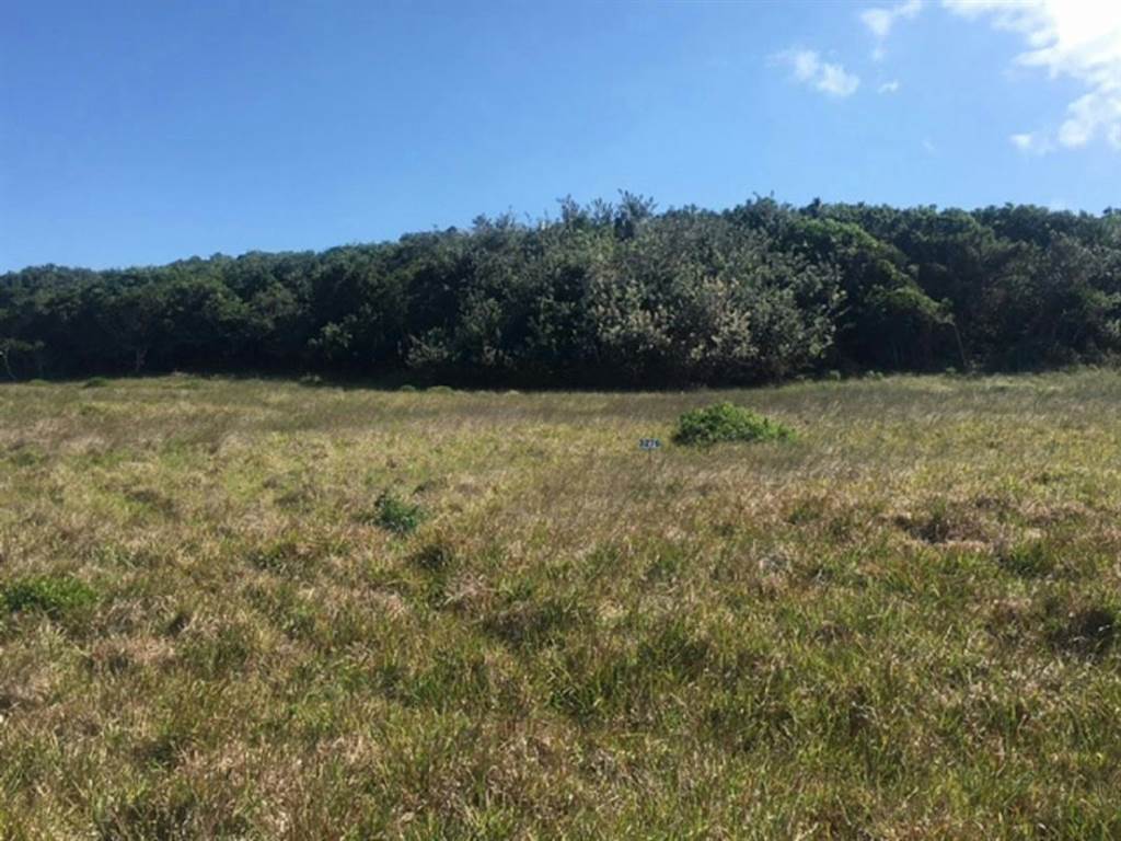 822 m² Land available in Kenton-on-Sea photo number 6