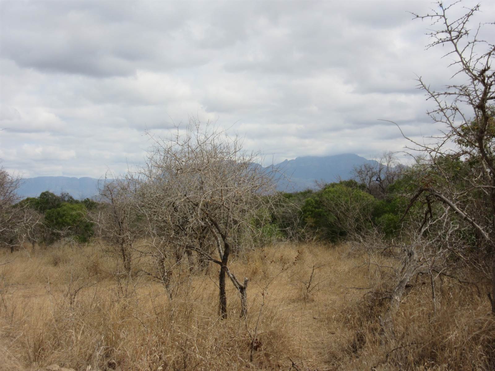 9269 m² Land available in Moditlo Nature Reserve photo number 1