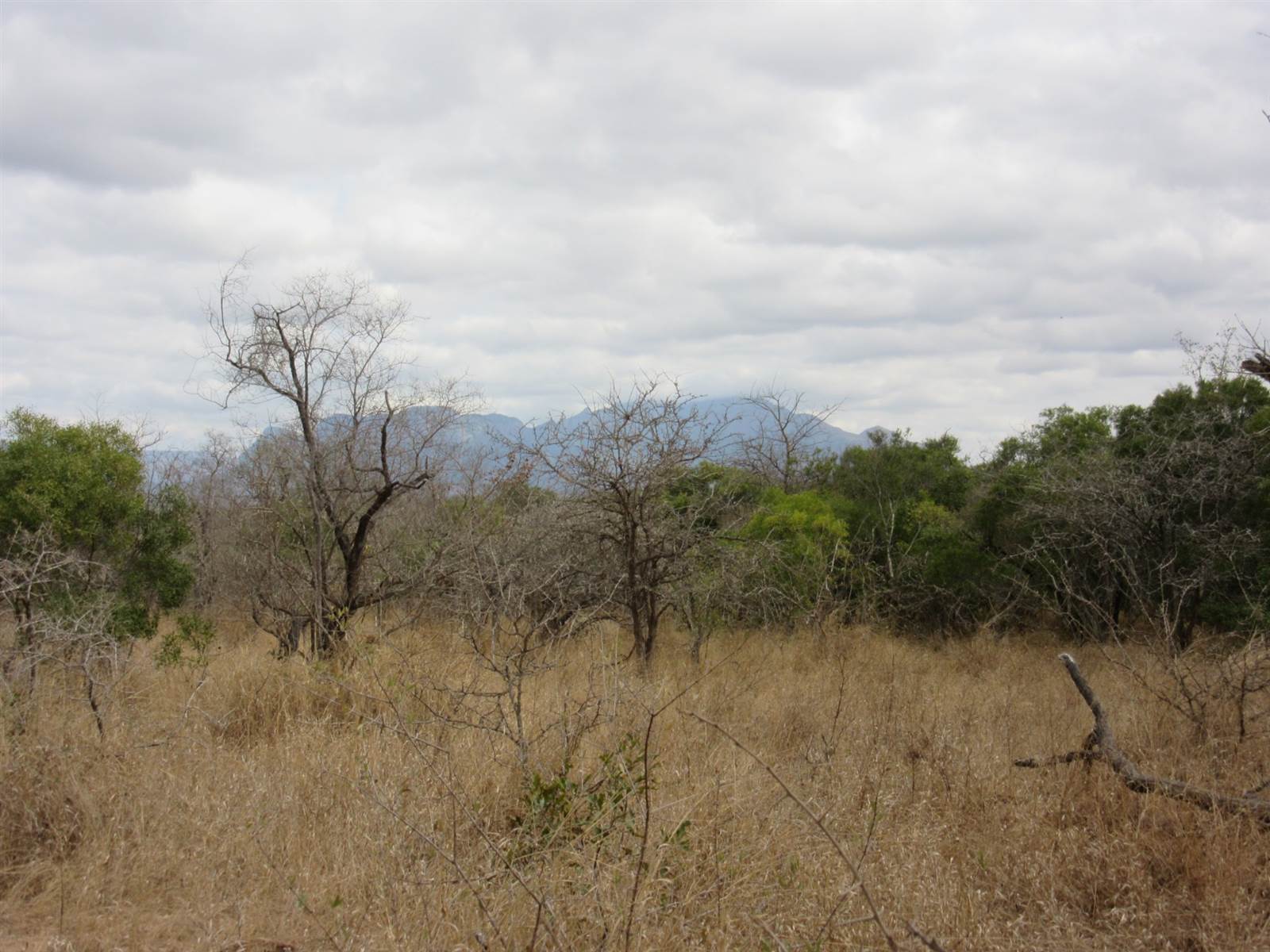9269 m² Land available in Moditlo Nature Reserve photo number 3