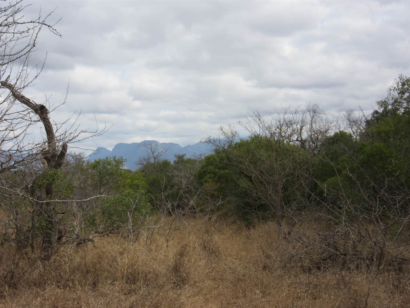 9269 m² Land available in Moditlo Nature Reserve photo number 2