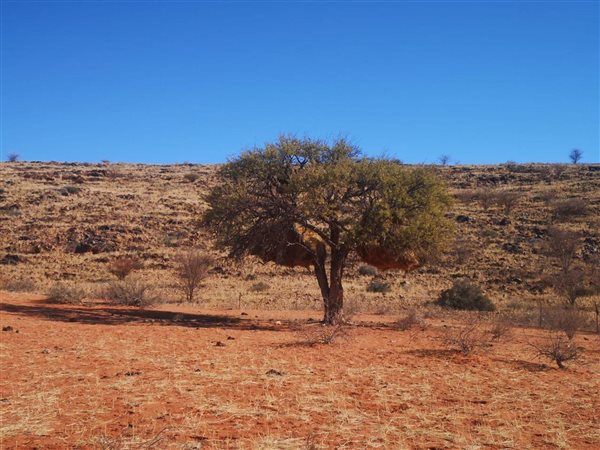 6 939 m² Farm 6 939 m² Farm