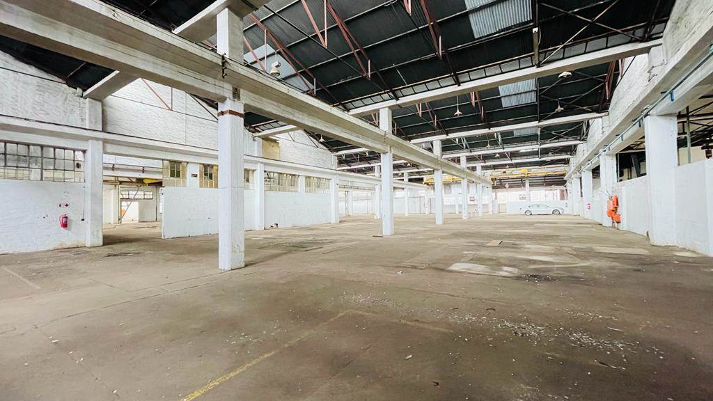 8000  m² Industrial space in Manufacta photo number 8