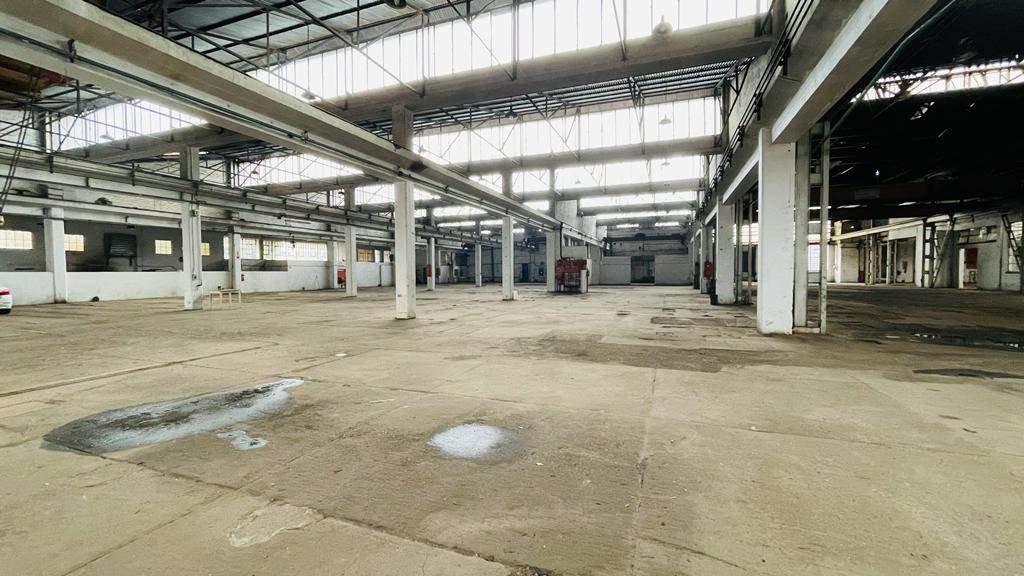 8000  m² Industrial space in Manufacta photo number 28