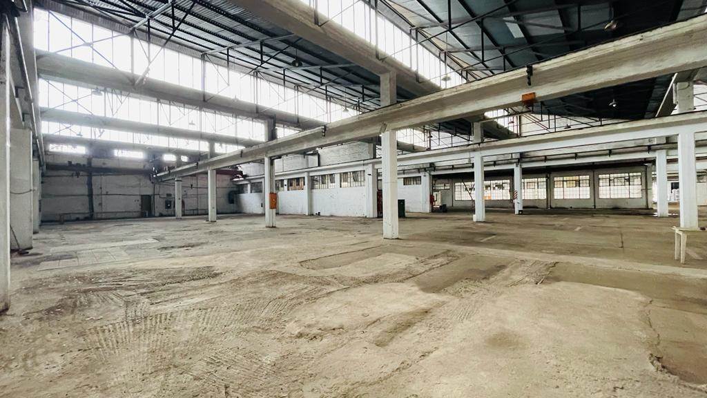 8000  m² Industrial space in Manufacta photo number 6