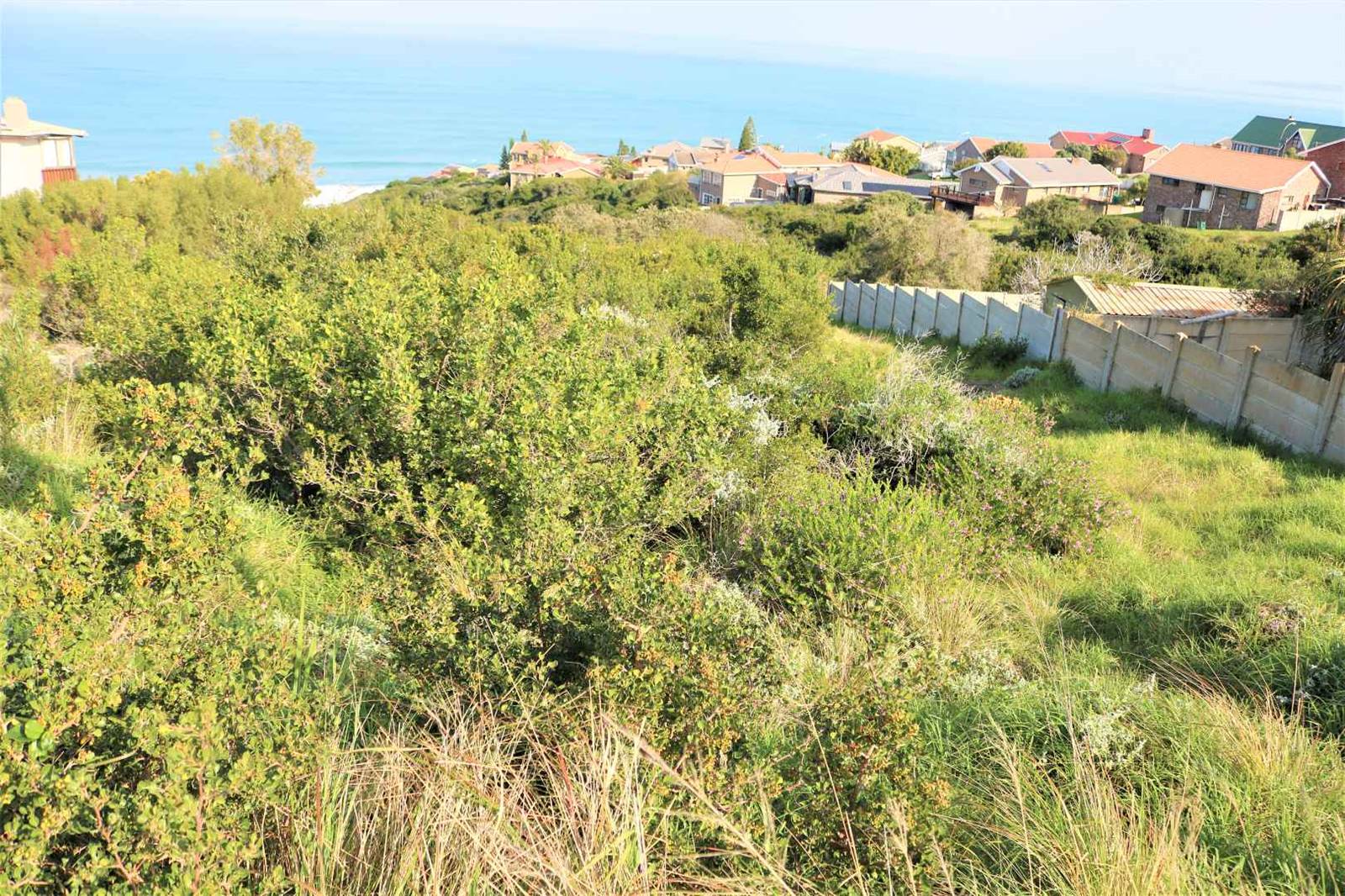 898 m² Land available in Dana Bay photo number 11