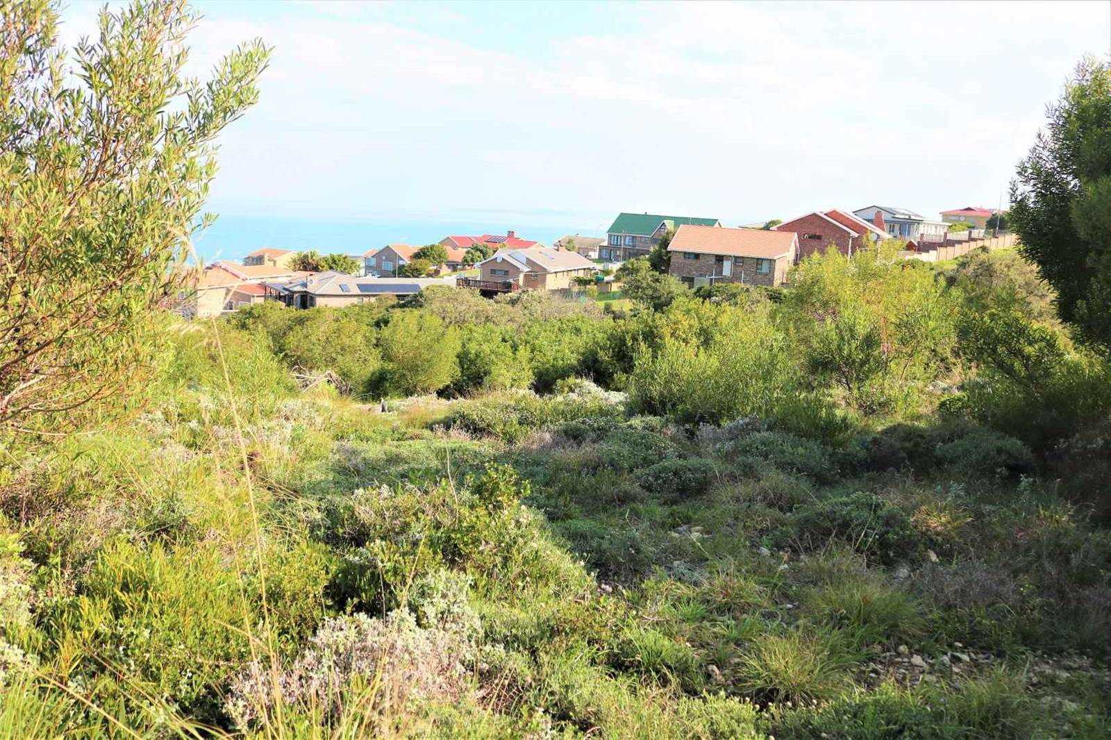 898 m² Land available in Dana Bay photo number 9