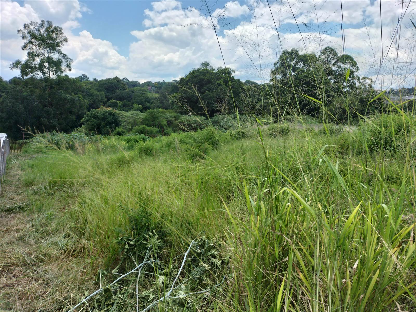 1551 m² Land available in Tzaneen photo number 8