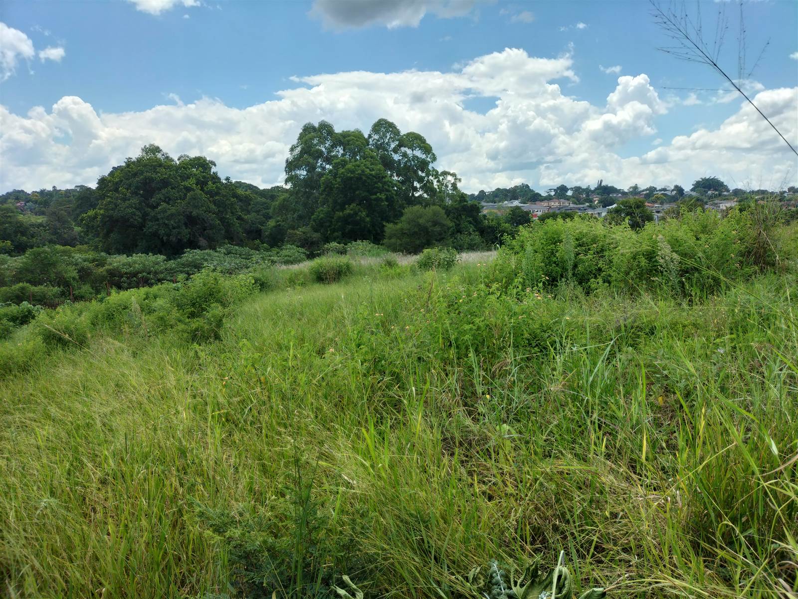 1551 m² Land available in Tzaneen photo number 10
