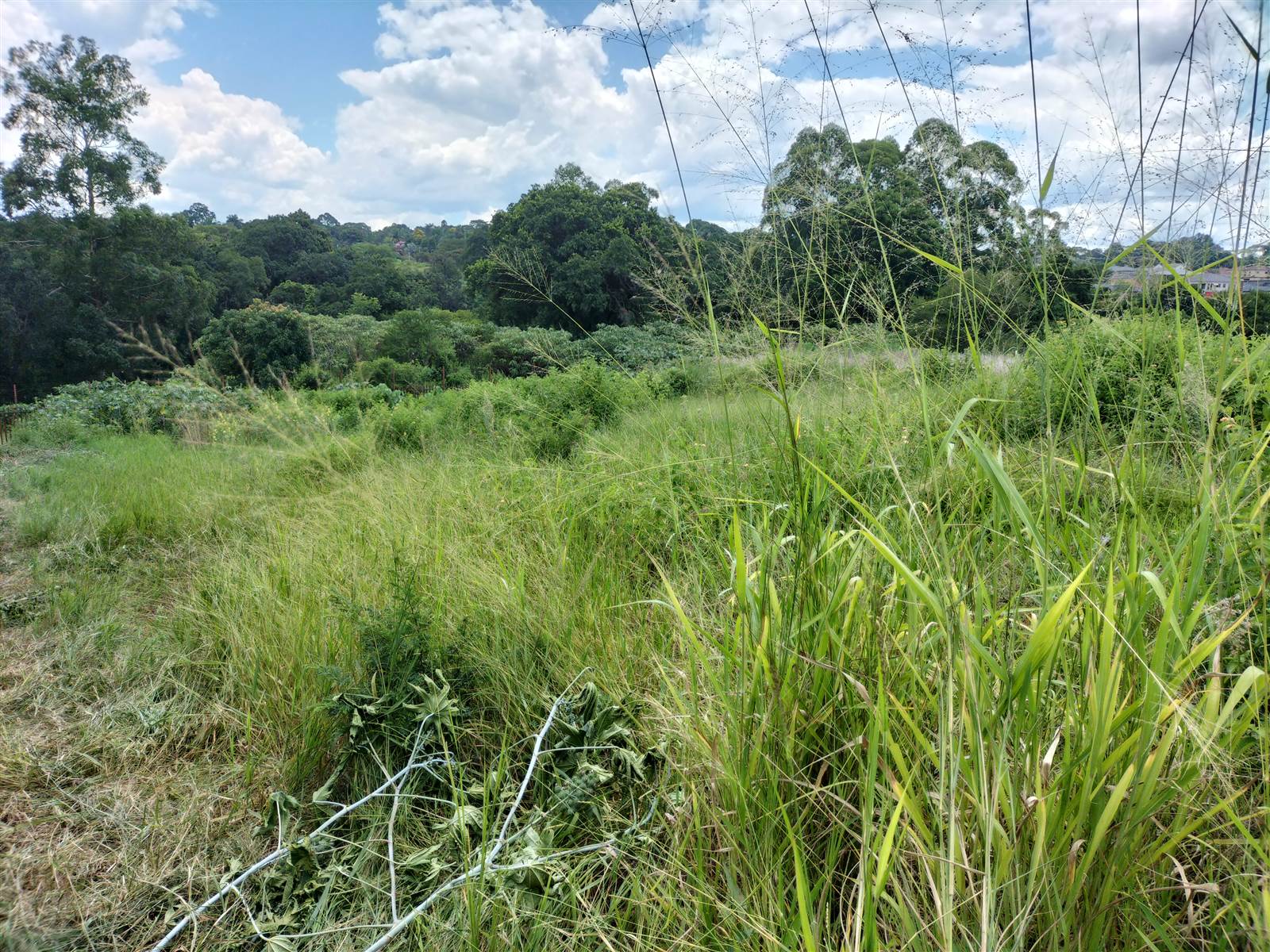 1551 m² Land available in Tzaneen photo number 6