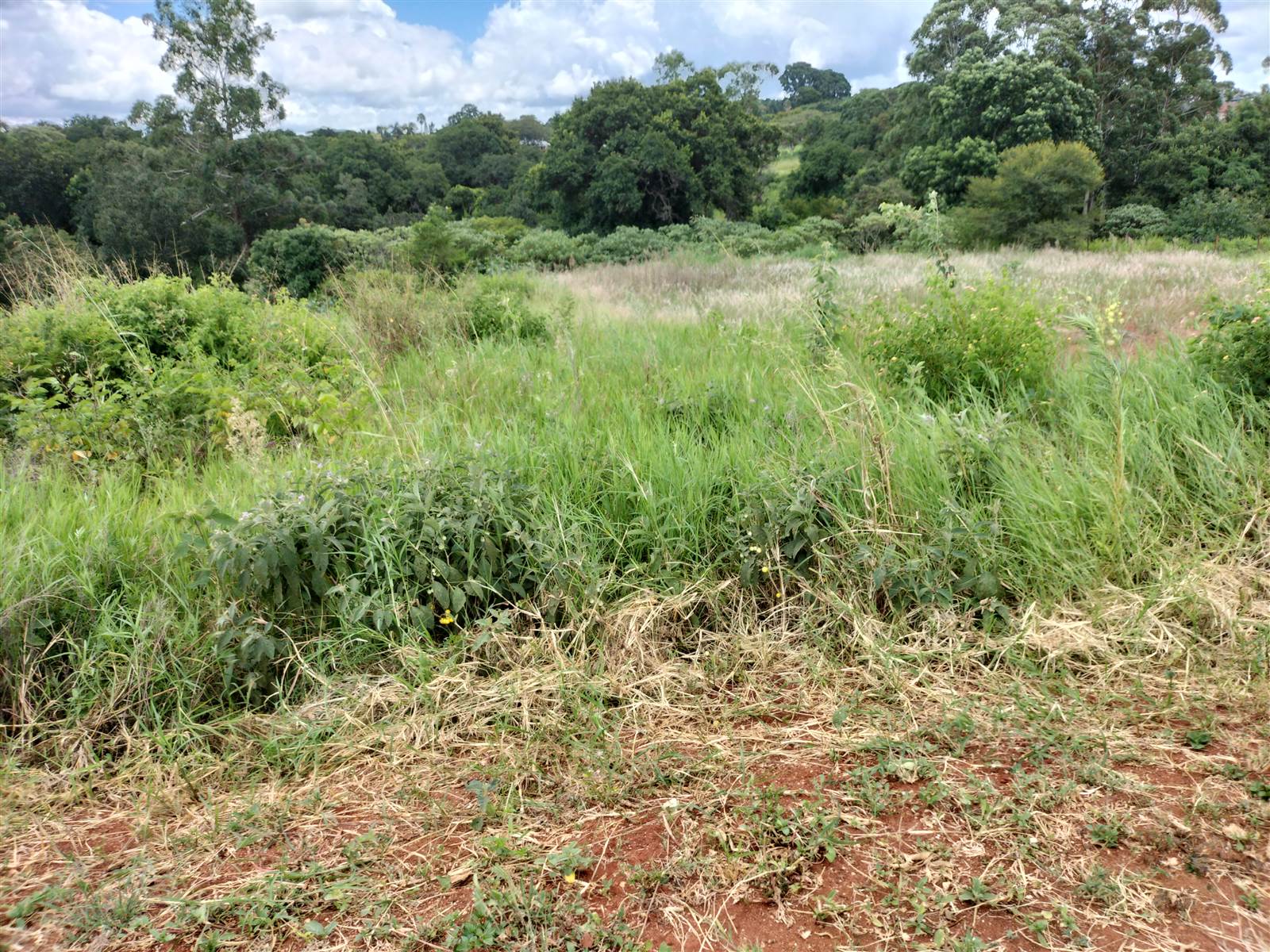 1551 m² Land available in Tzaneen photo number 5