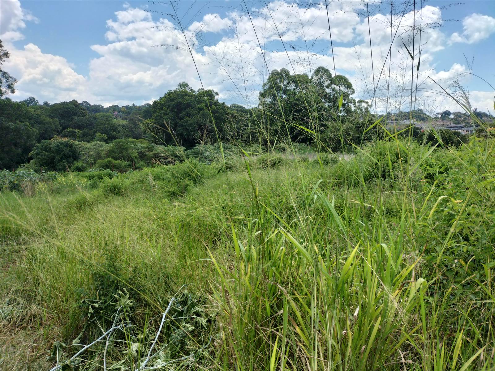 1551 m² Land available in Tzaneen photo number 7
