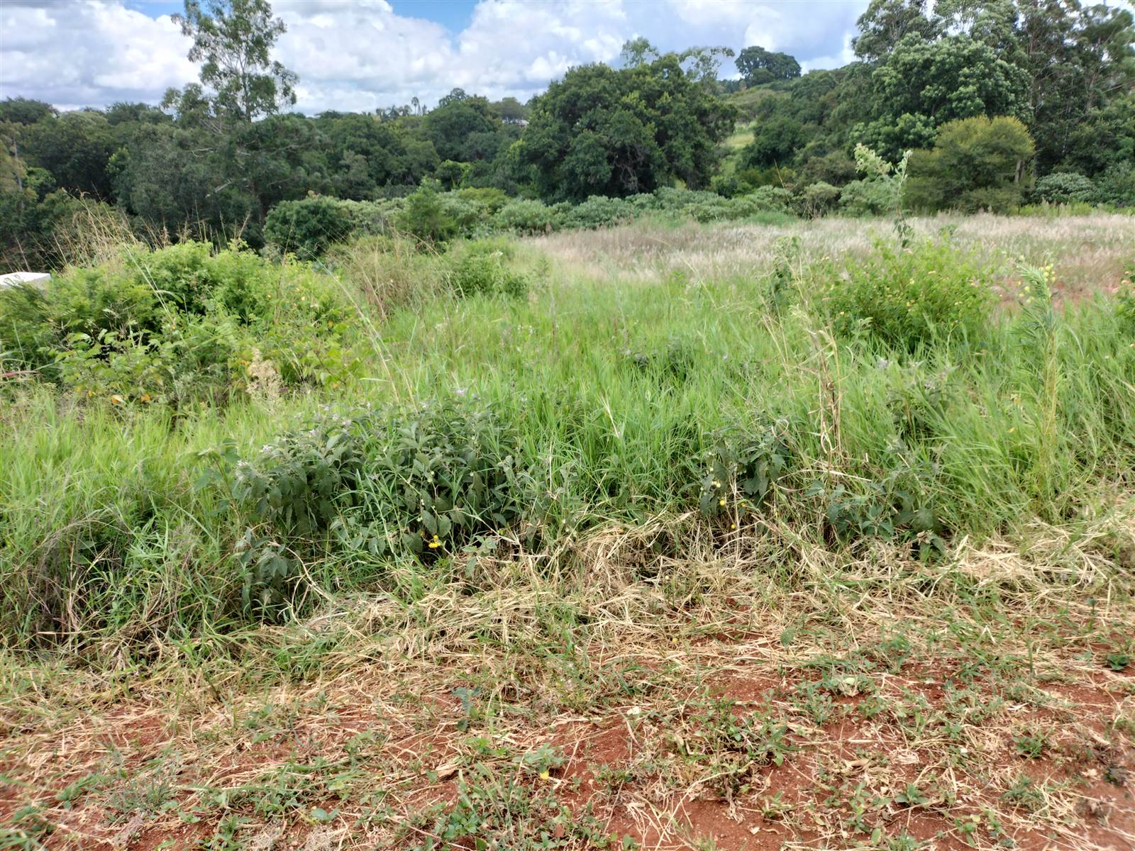 1551 m² Land available in Tzaneen photo number 4