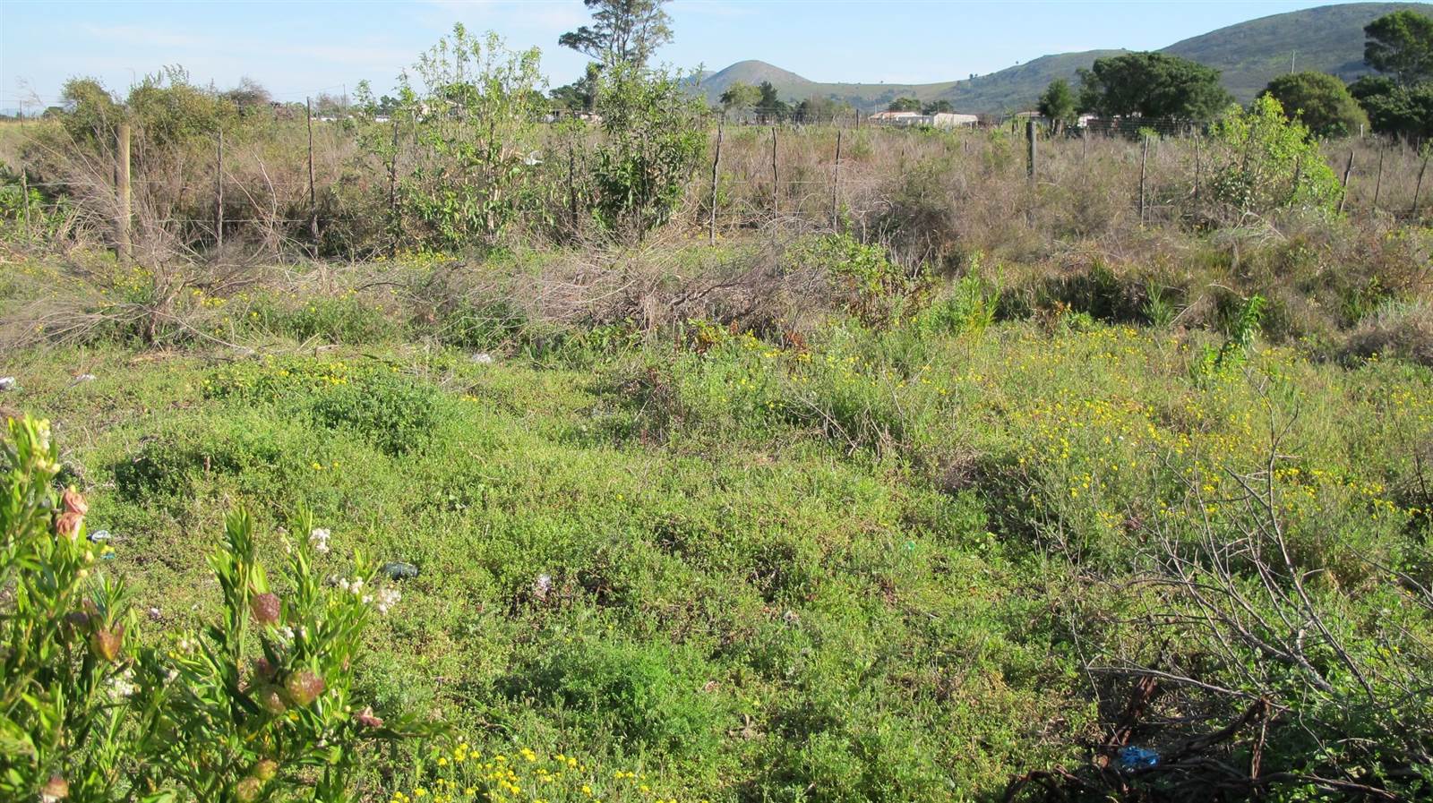 8565 m² Land available in Humansdorp photo number 9