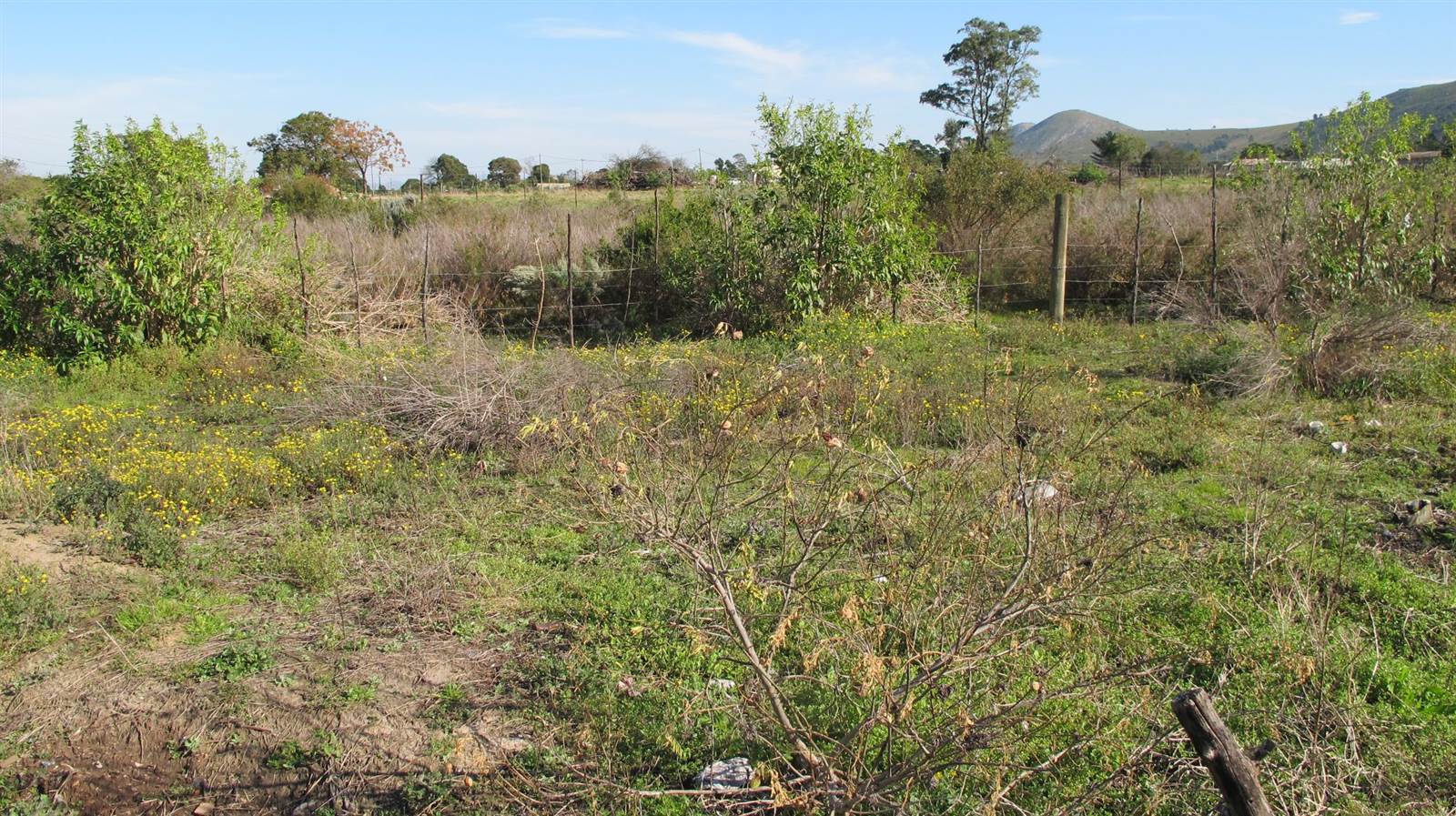 8565 m² Land available in Humansdorp photo number 6