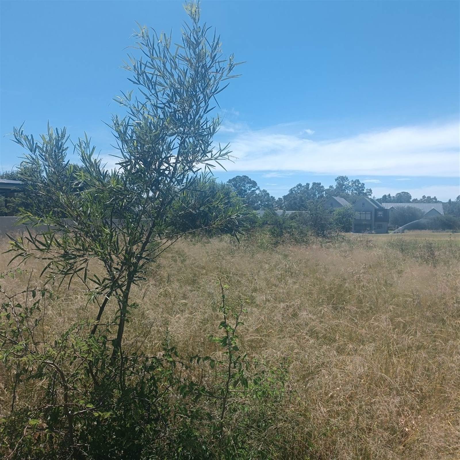 858 m² Land available in Parys photo number 5