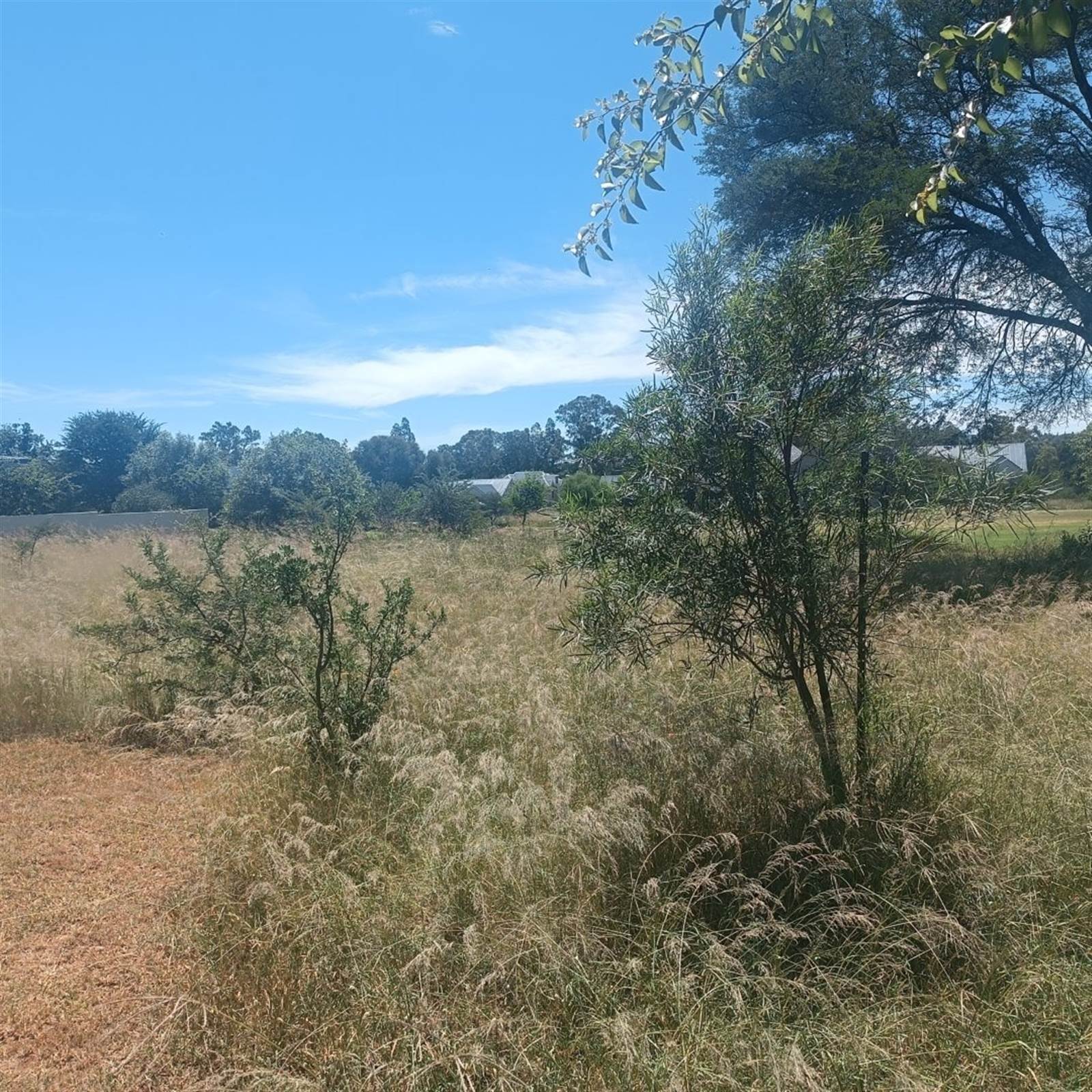 858 m² Land available in Parys photo number 7