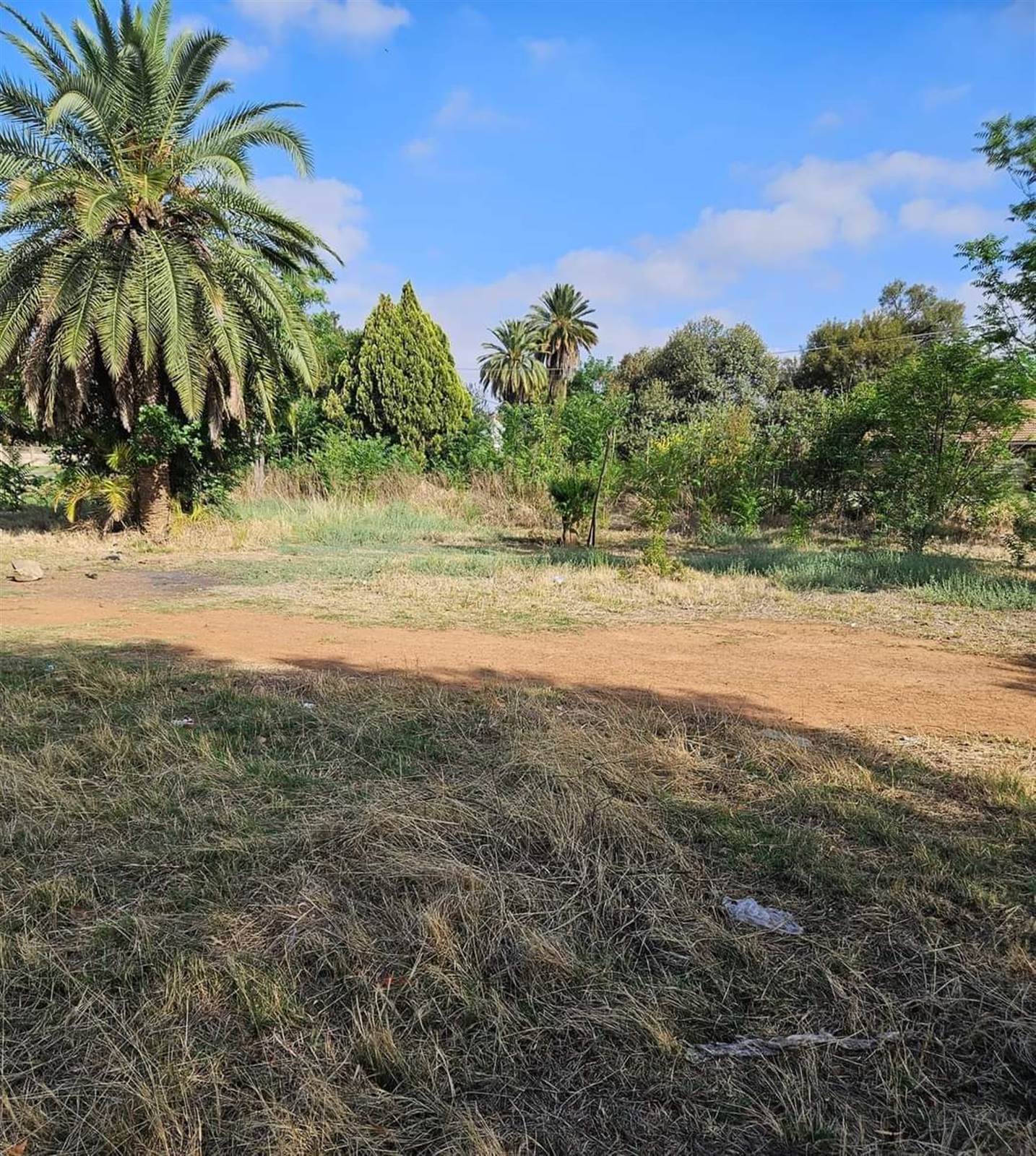 743 m² Land available in Zeerust photo number 6