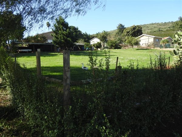 1190 m² Land available in Patensie