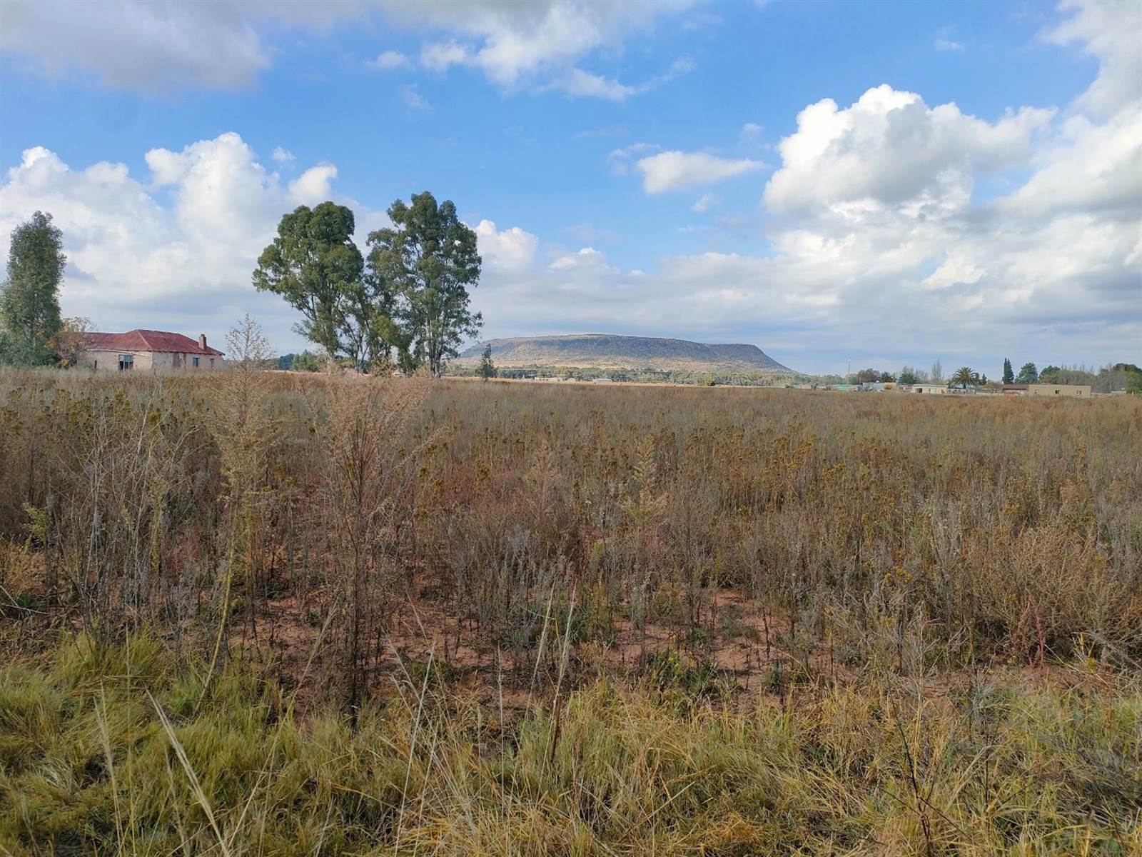 4.3 ha Farm in Bloemfontein Rural photo number 6