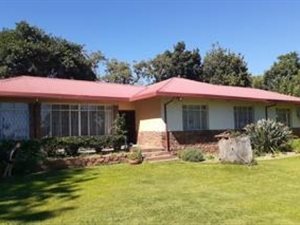 4.8 ha Farm in Wildebeeshoek AH