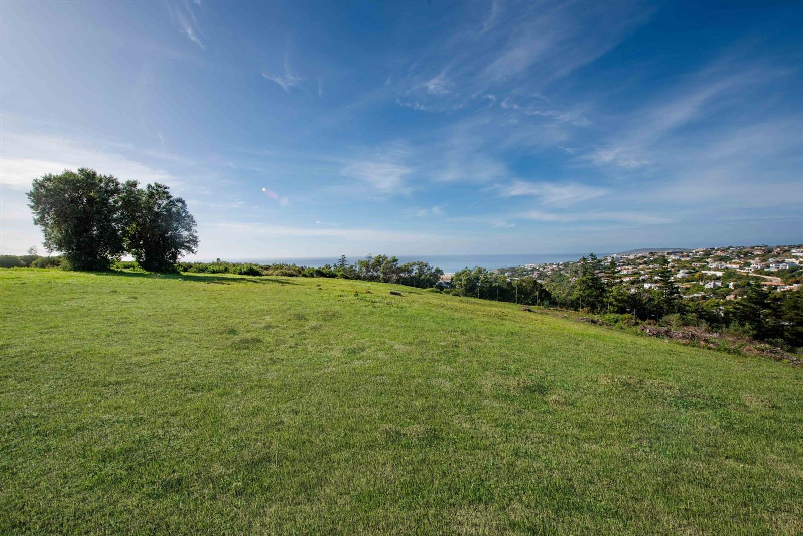 1648 m² Land available in The Hill Estate photo number 8