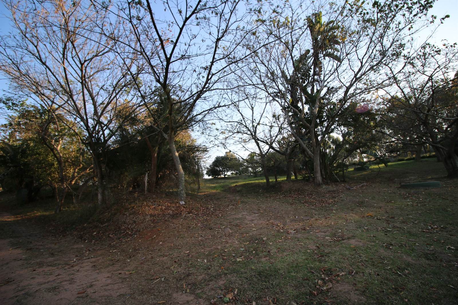 620 m² Land available in Pennington photo number 6