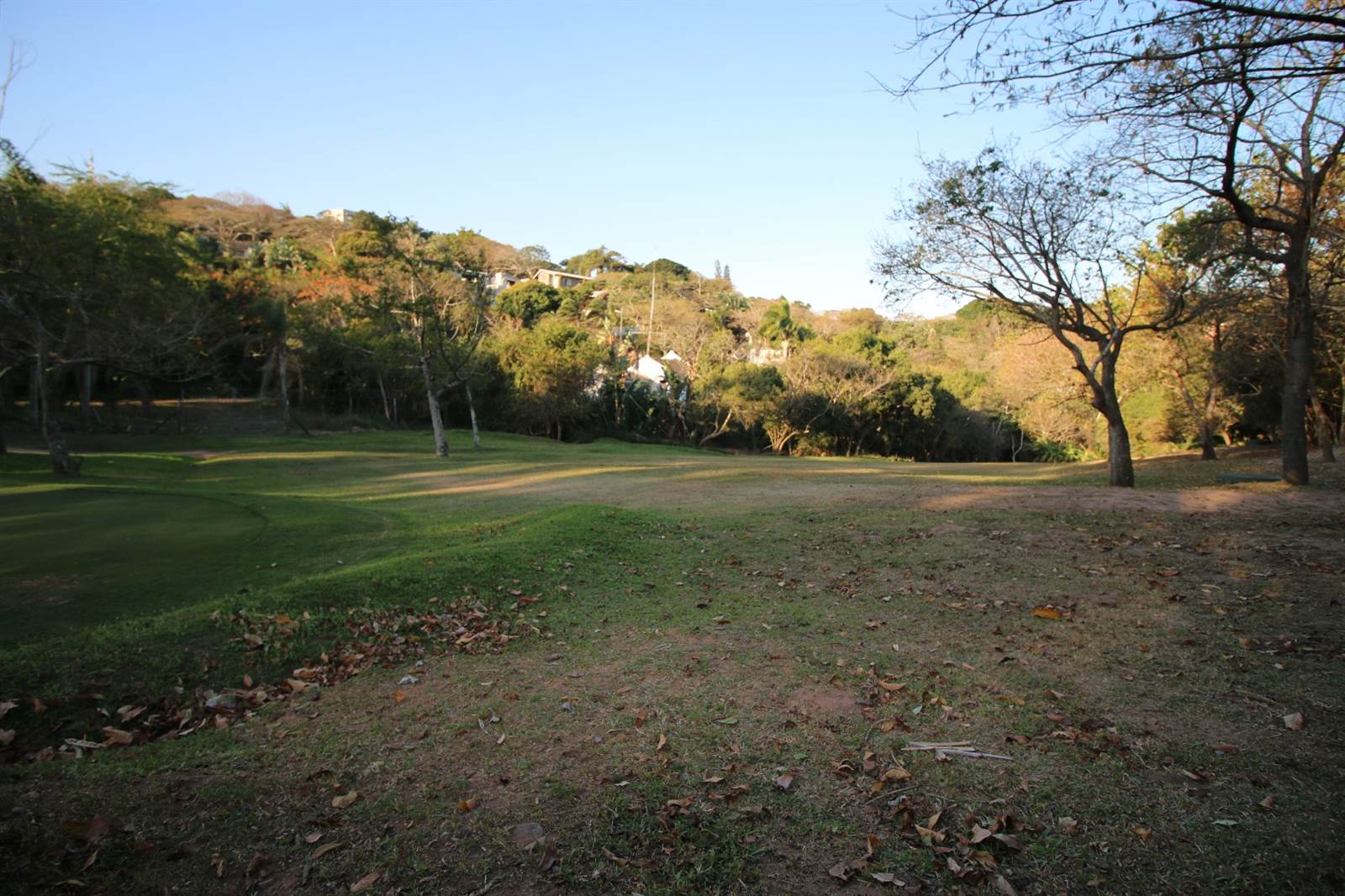 620 m² Land available in Pennington photo number 5