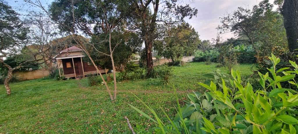 1181 m² Land available in Eshowe photo number 4