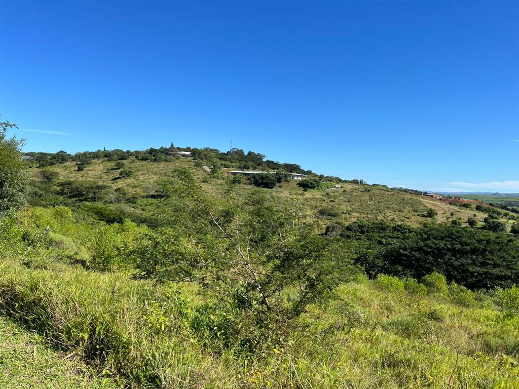 1571 m² Land available in Mtunzini photo number 6