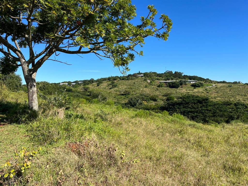 1571 m² Land available in Mtunzini photo number 4