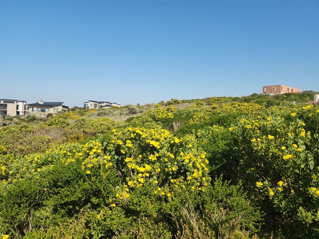 1214 m² Land available in Stilbaai photo number 3