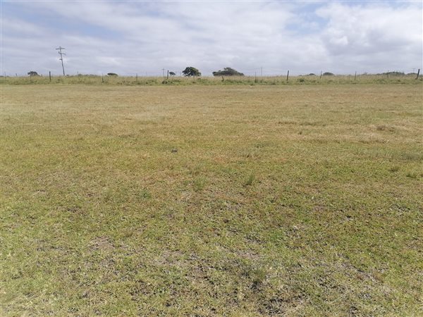 650 m² Land