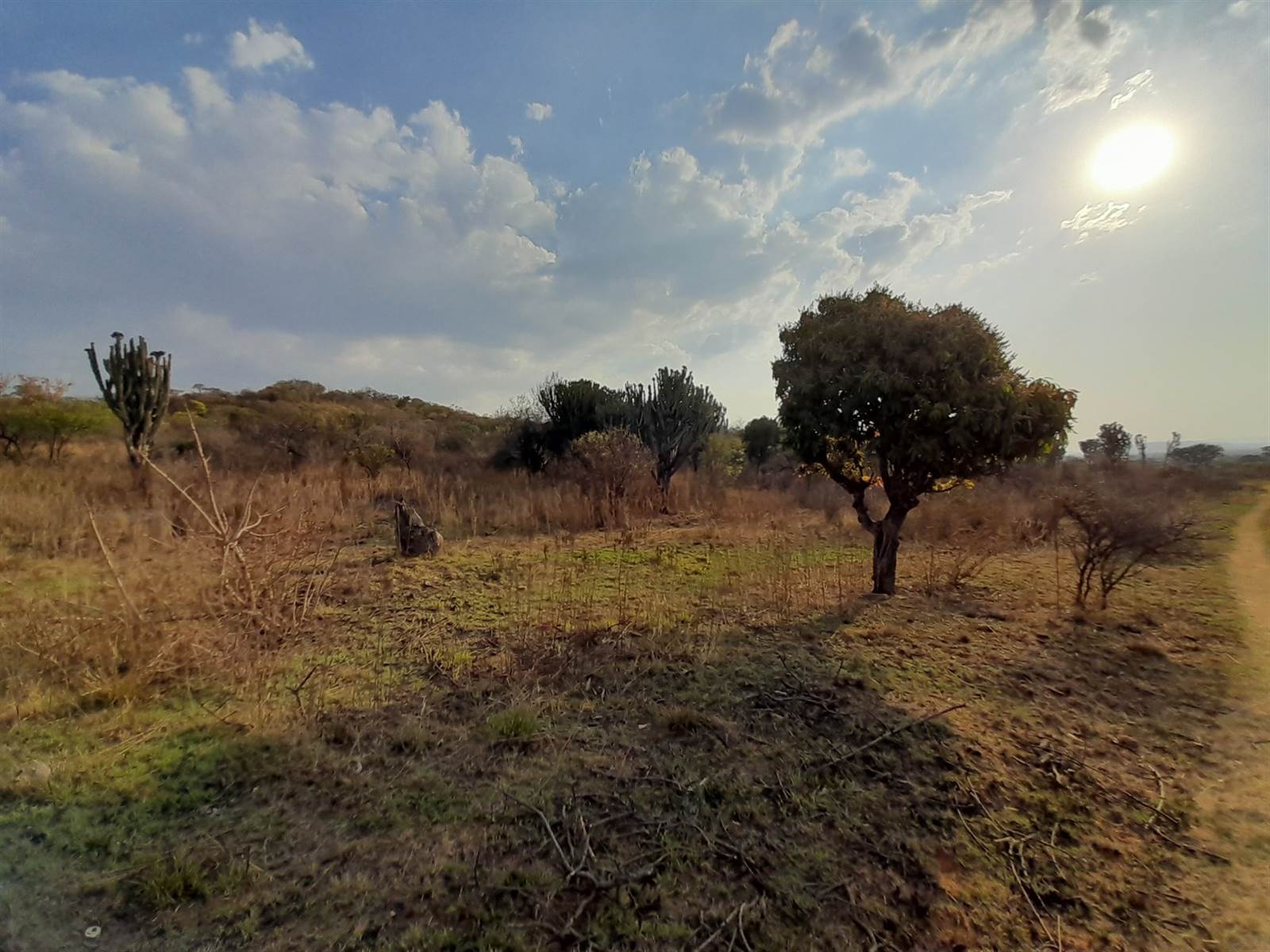 18.8 ha Land available in De Wildt photo number 6