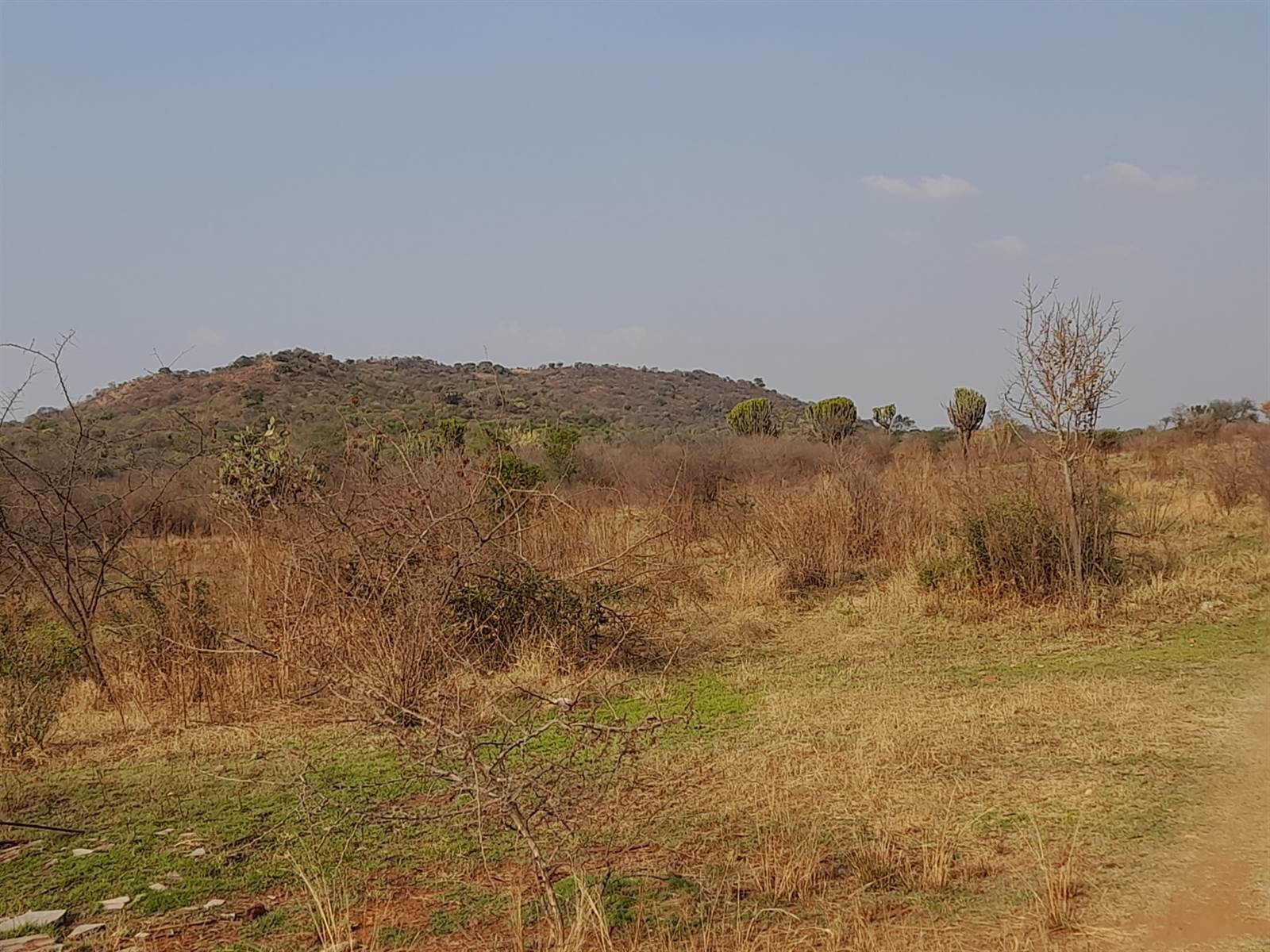 18.8 ha Land available in De Wildt photo number 8