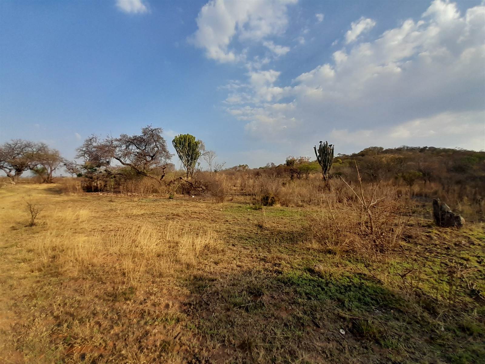 18.8 ha Land available in De Wildt photo number 7