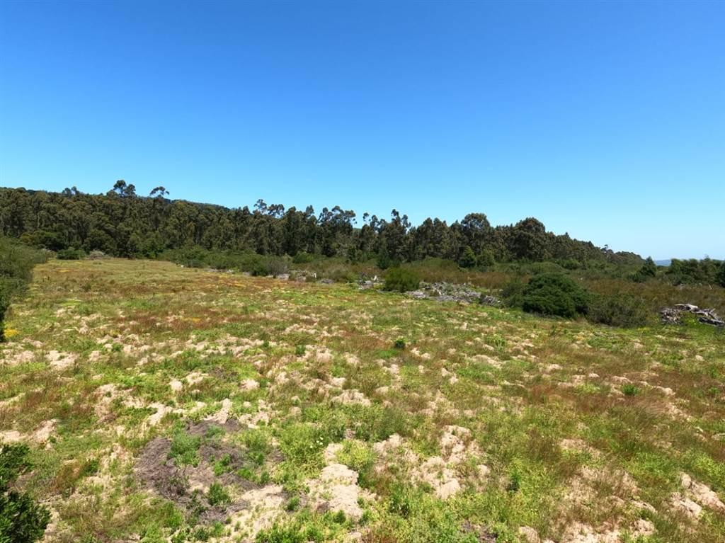 35.6 ha Land available in Sedgefield photo number 2