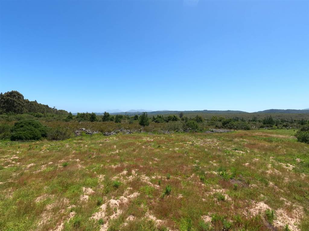 35.6 ha Land available in Sedgefield photo number 4