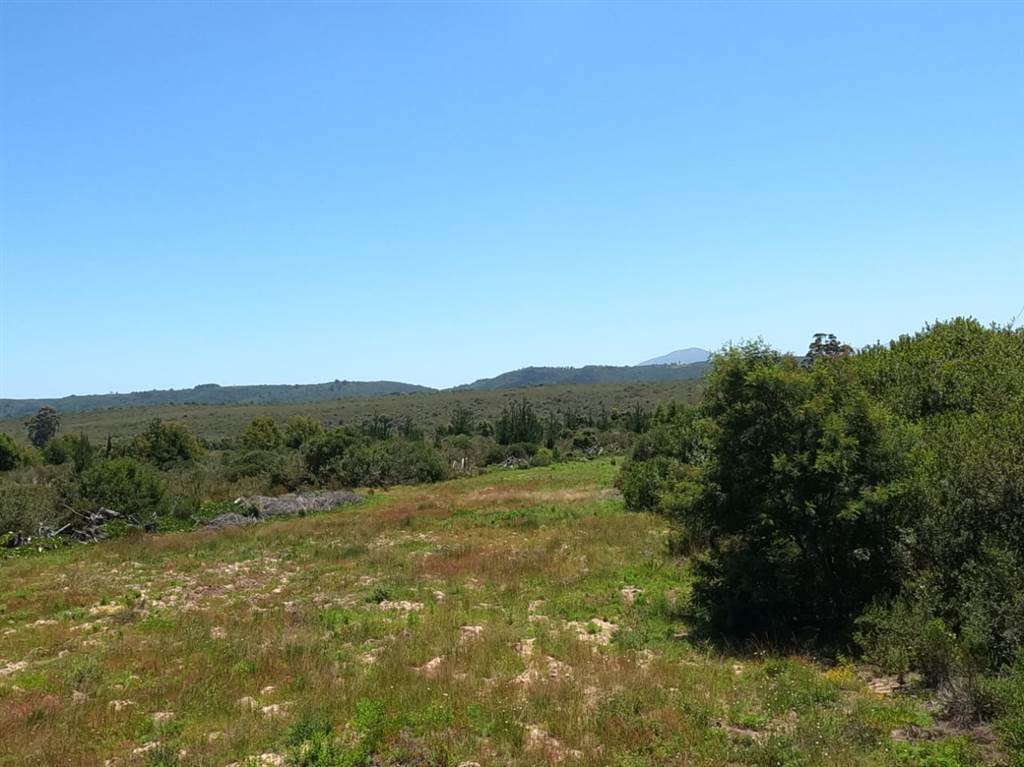 35.6 ha Land available in Sedgefield photo number 3