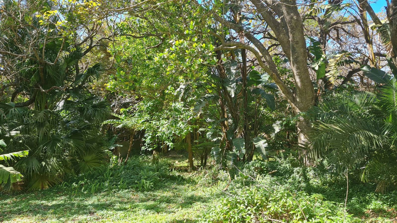 1015 m² Land available in Leisure Bay photo number 2
