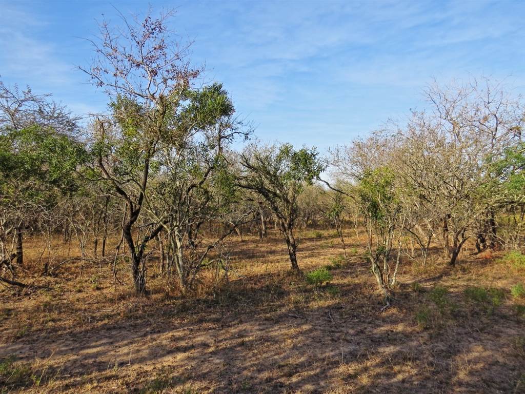 1690 m² Land available in Marloth Park photo number 7