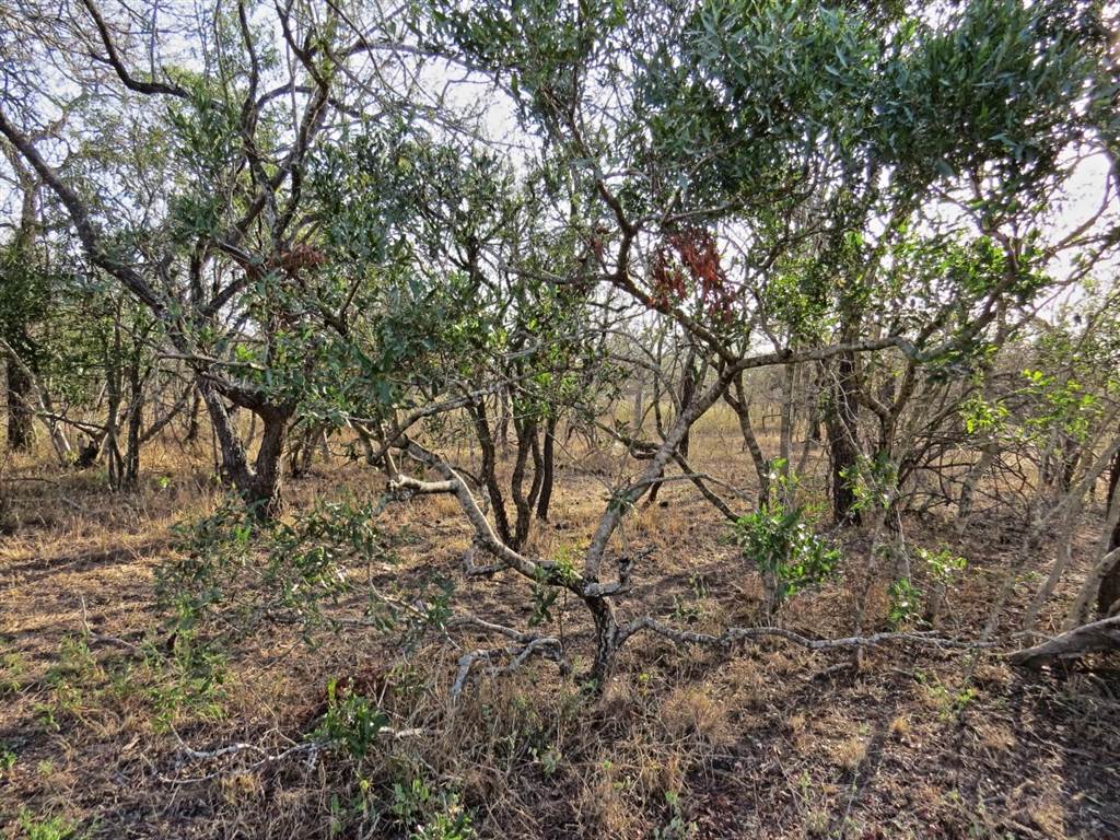 1690 m² Land available in Marloth Park photo number 1
