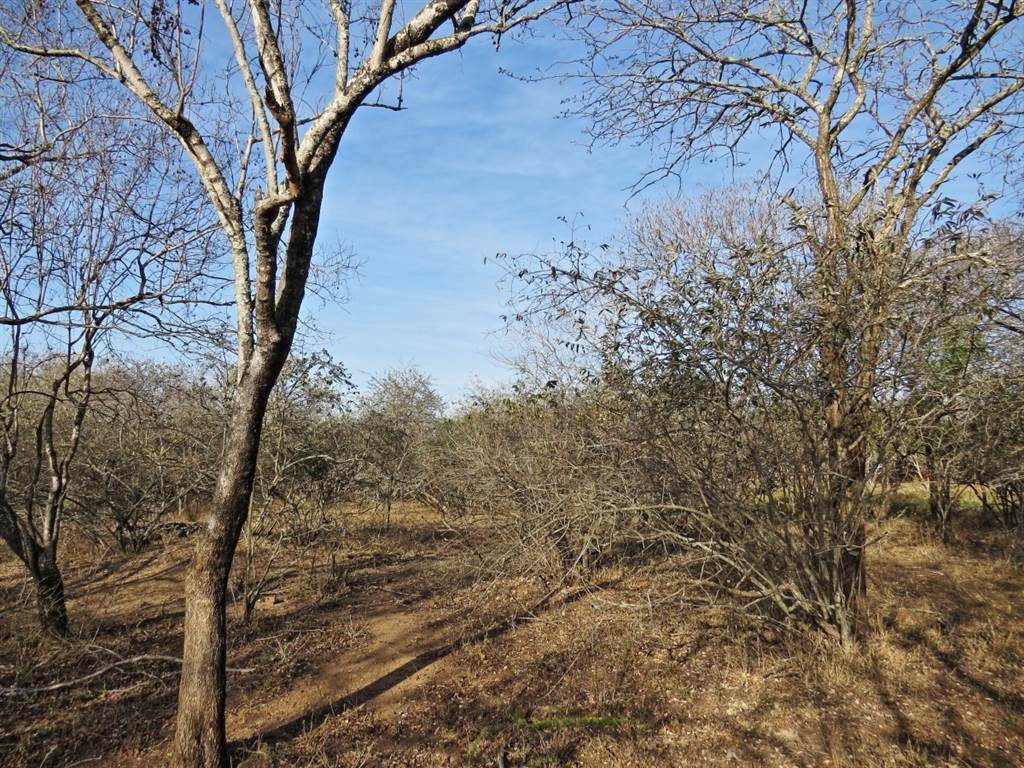 1690 m² Land available in Marloth Park photo number 4