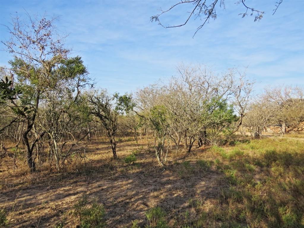 1690 m² Land available in Marloth Park photo number 3