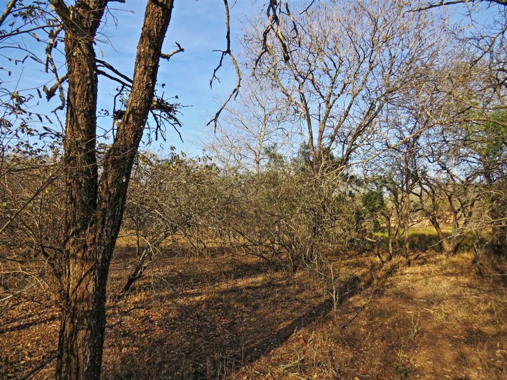 1690 m² Land available in Marloth Park photo number 5
