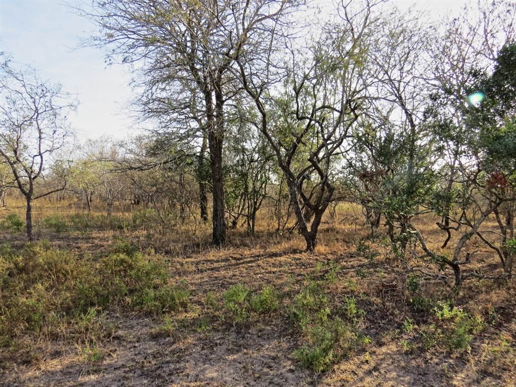 1690 m² Land available in Marloth Park photo number 11