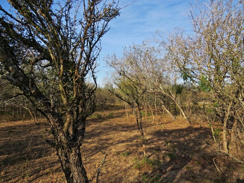 1690 m² Land available in Marloth Park photo number 9