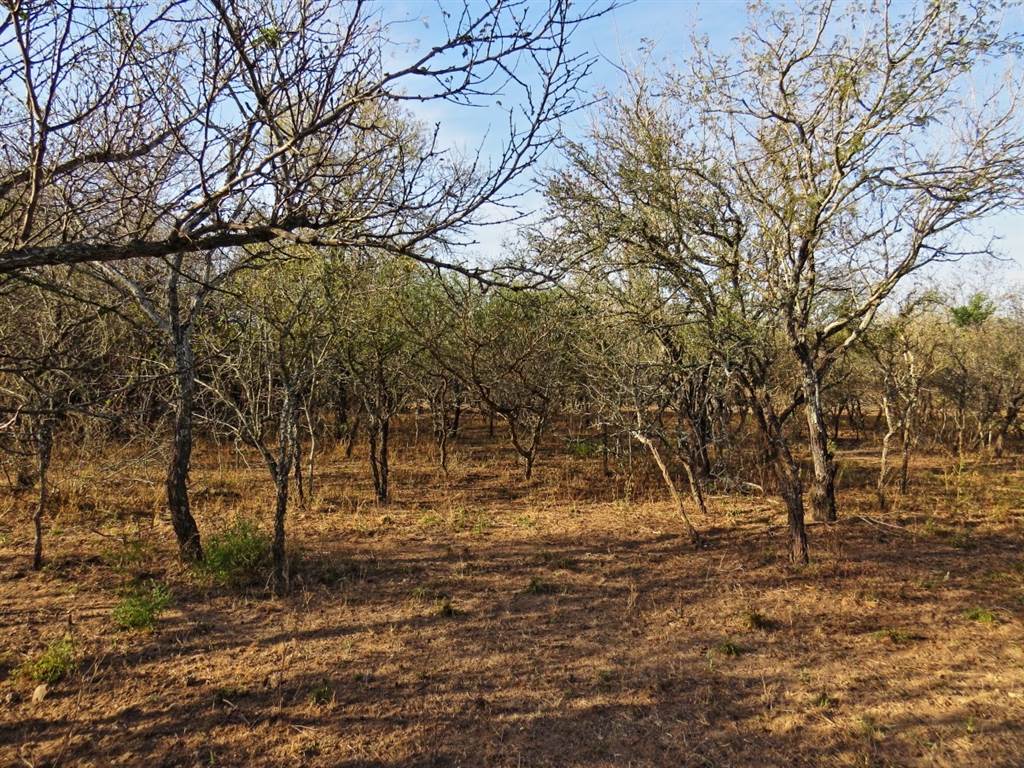 1690 m² Land available in Marloth Park photo number 10