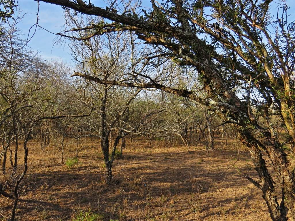 1690 m² Land available in Marloth Park photo number 8